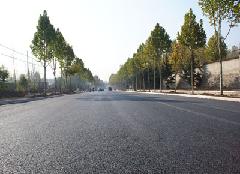 �½��ɵı�̹��·